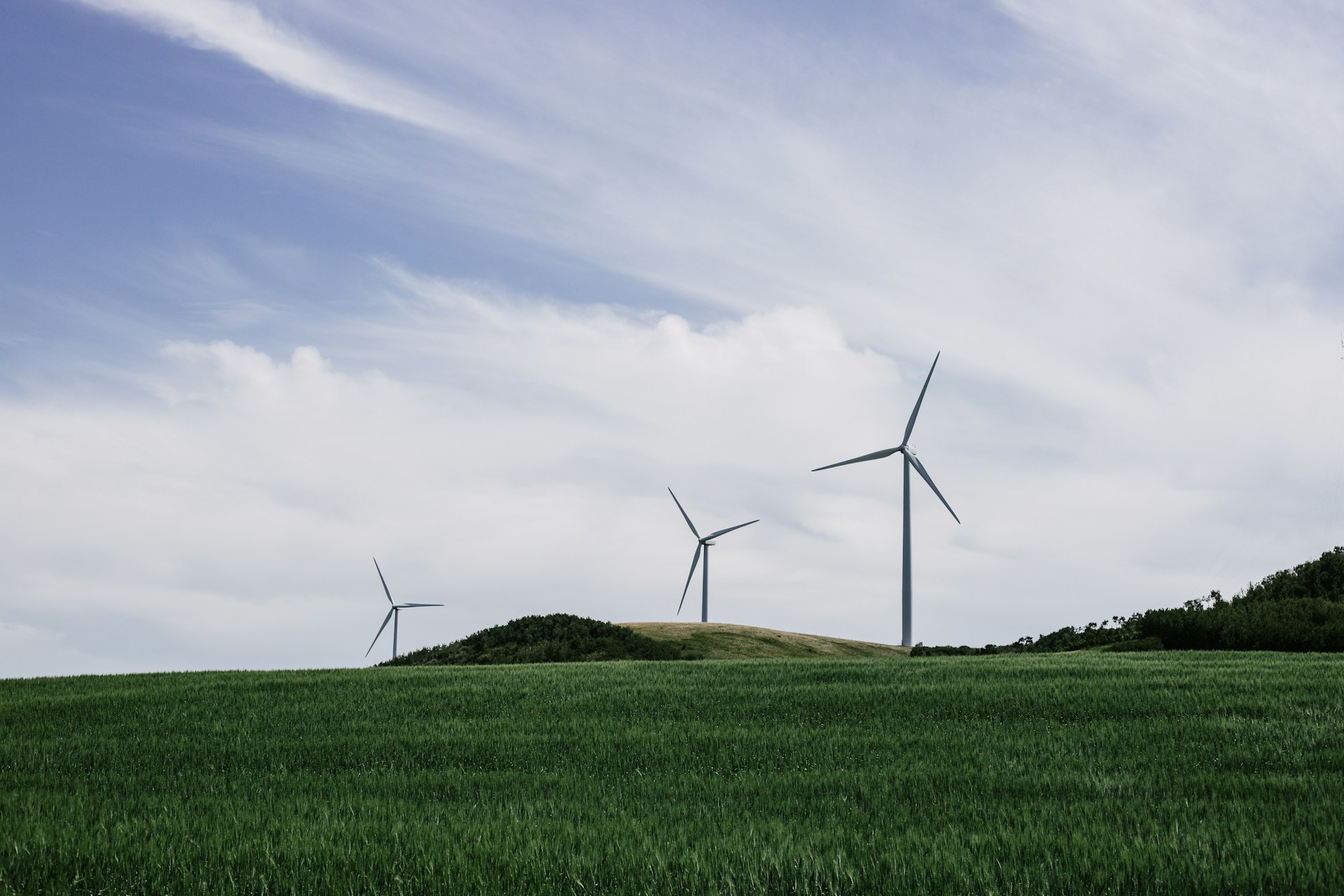 Leading the Way in Eco-Friendly Innovation