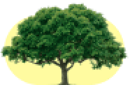 Tree Icon